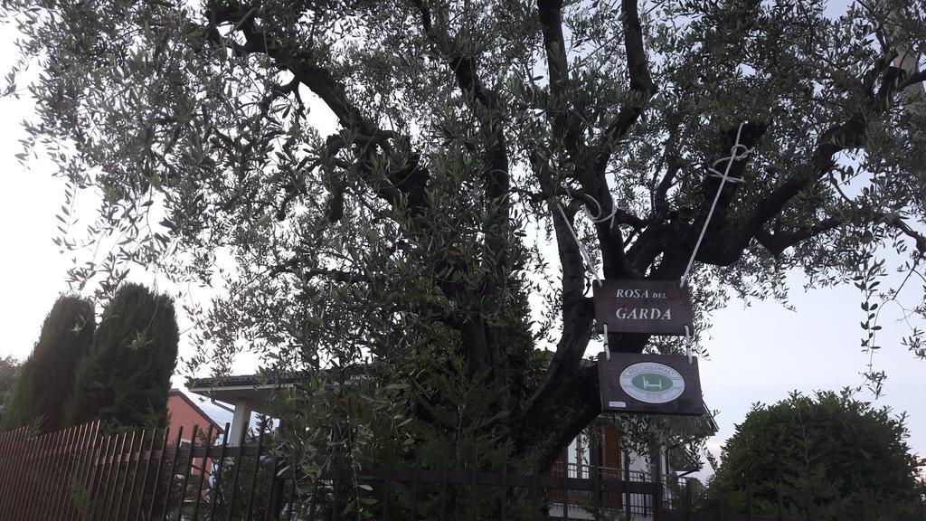 B&B Rosa Del Garda Lazise Eksteriør billede